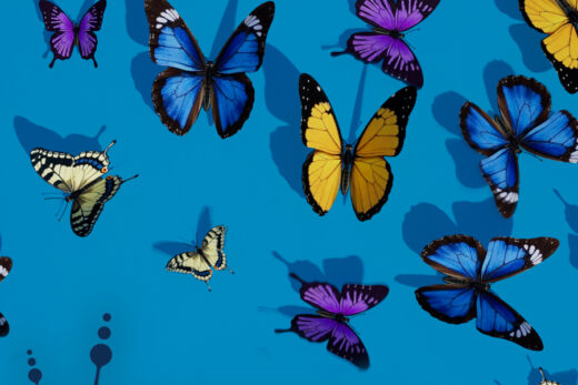 The Animation Instancer with Time Offset is a Houdini Digital Asset